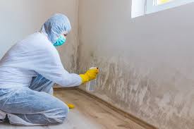 Mold Remediation for Vacation Homes in Ardmore, TN